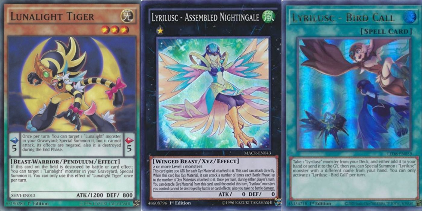 Master Duel Avian Dance cards from Yu-Gi-Oh