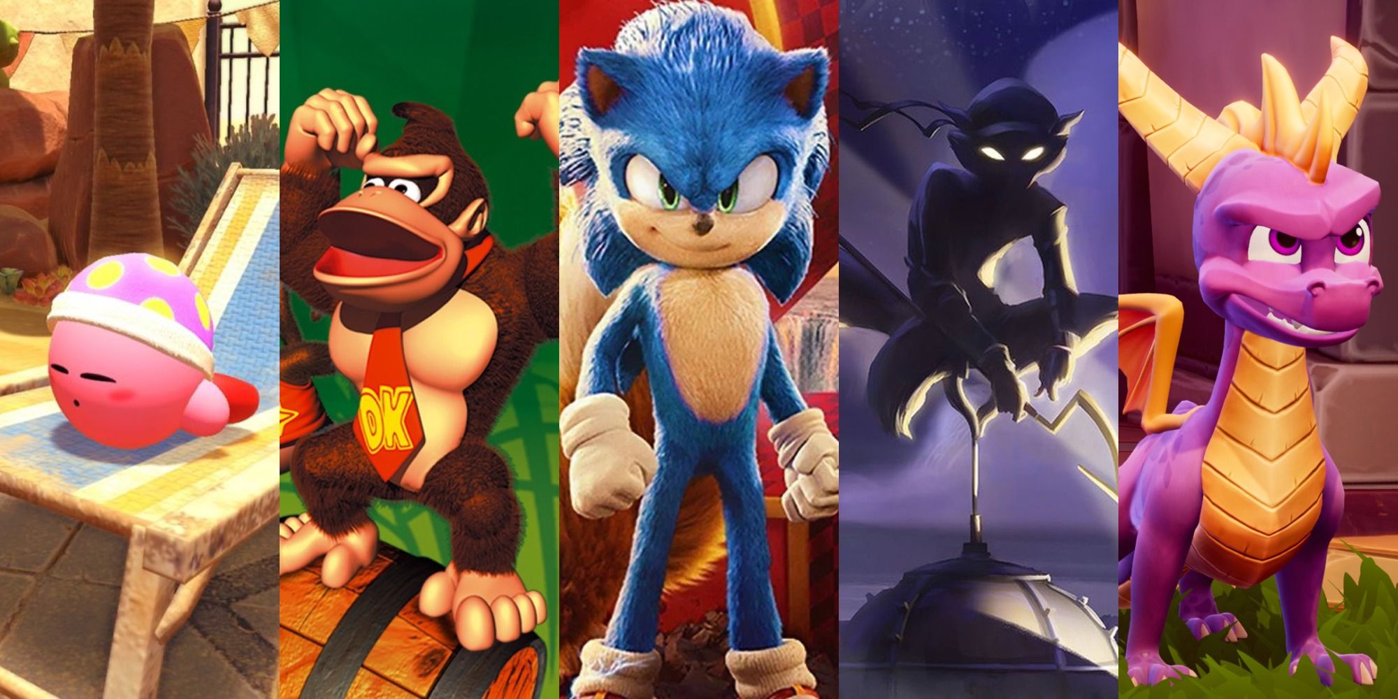 Kirby, Donkey Kong, Sonic, Sly Cooper, and Spyro.