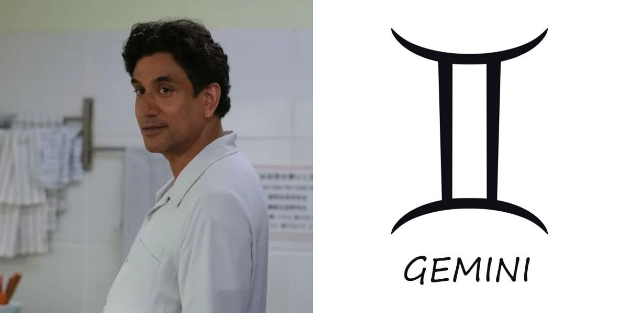 A split image of Sunny and the Gemini logo