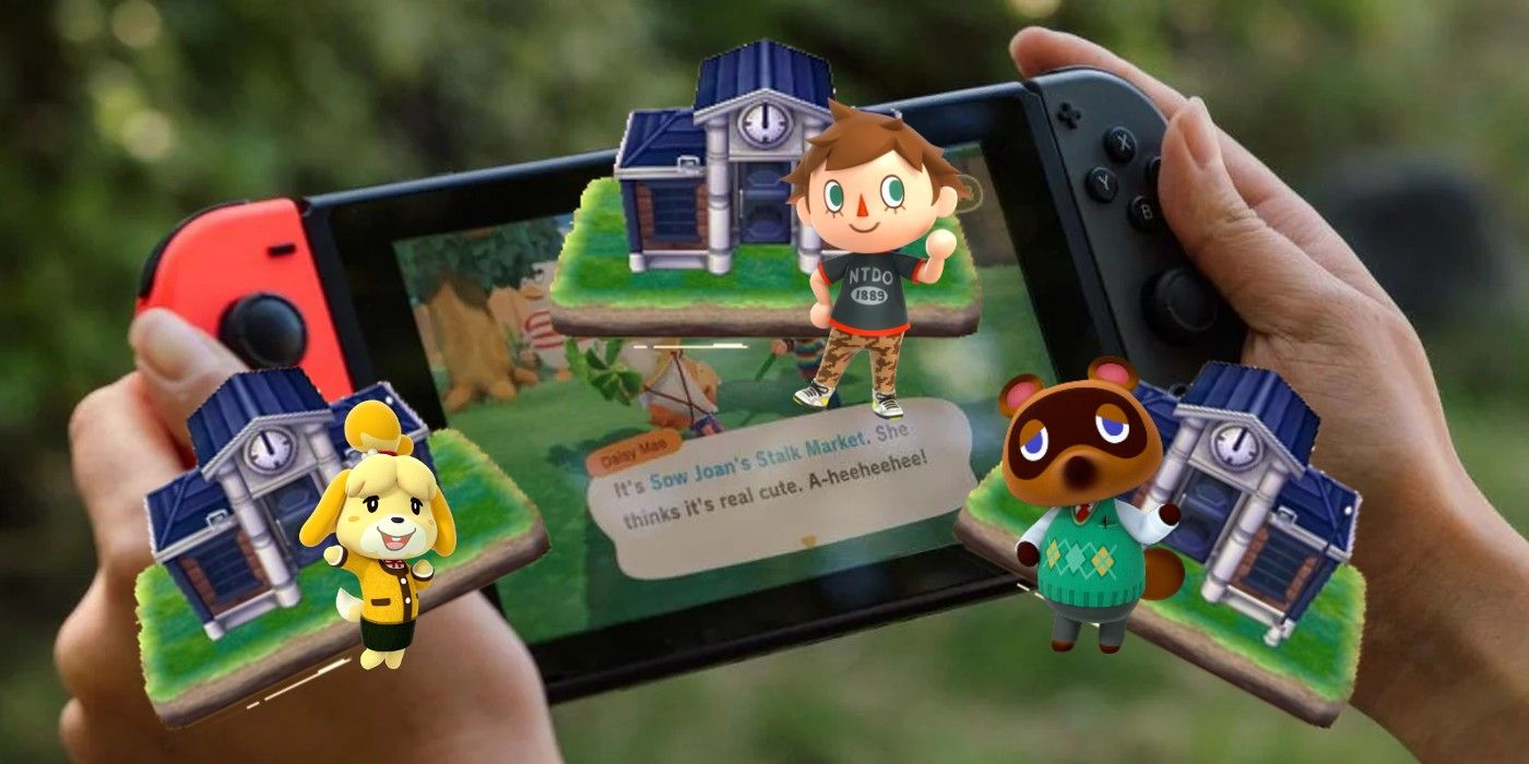 Next Animal Crossing Game: Why ACNH's Sequel Needs Multiple Towns
