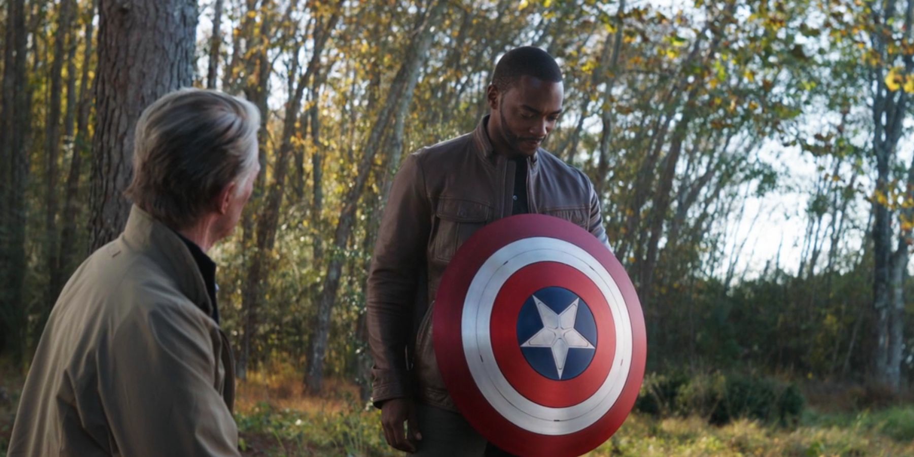 Avengers 4 Endgame Old Steve Gives New Captain America His Shield To Sam
