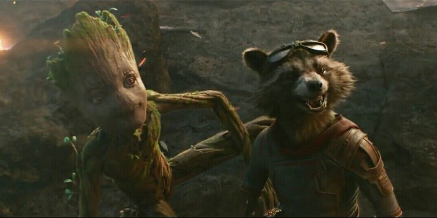 Groot and Rocket at the final battle in Avengers Endgame.