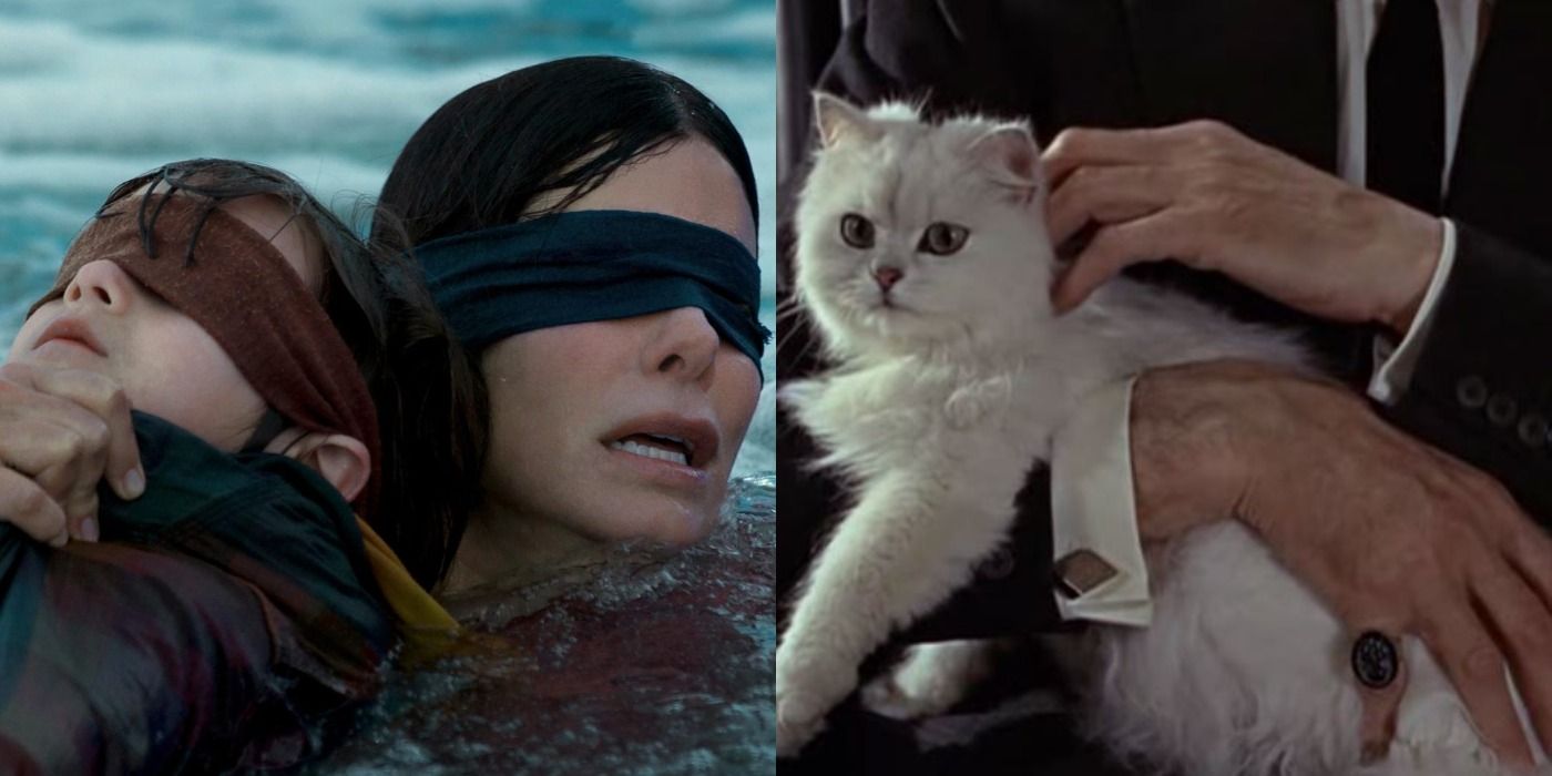 Split image showing scenes from Bird Box and From Russia With Love