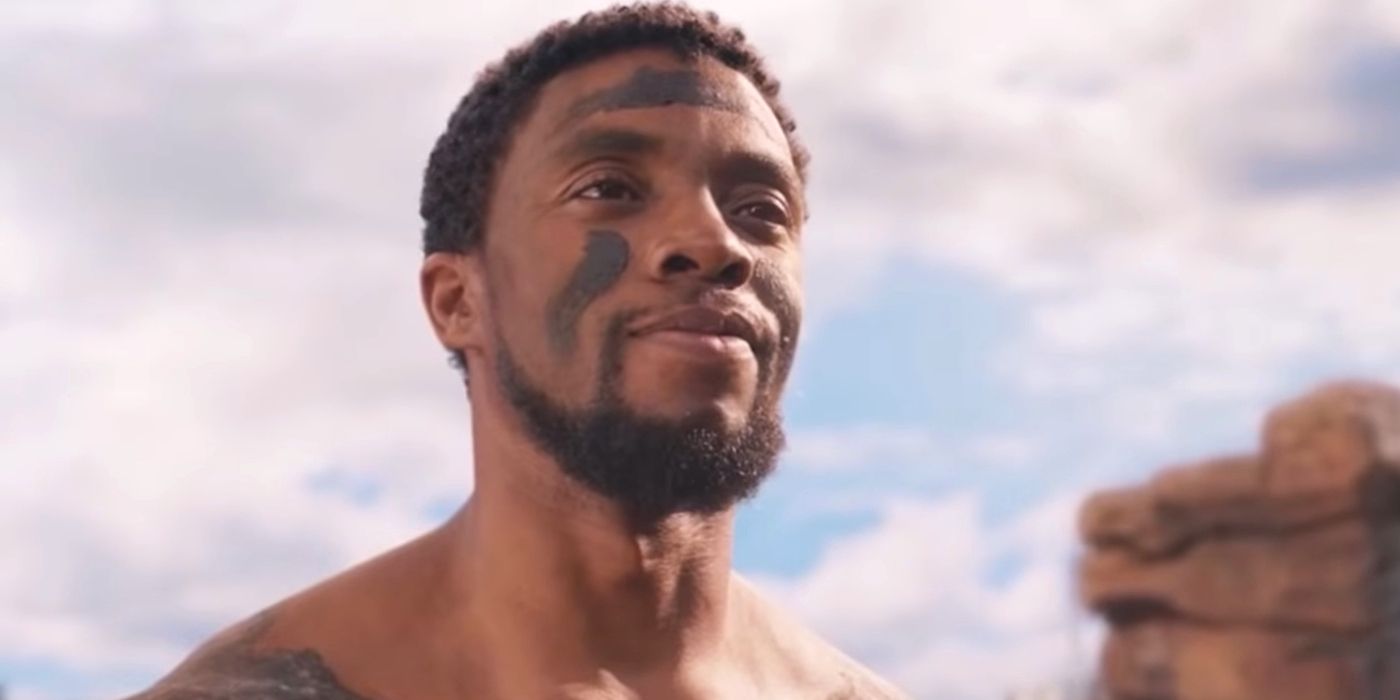 T'Challa smiling in Black Panther