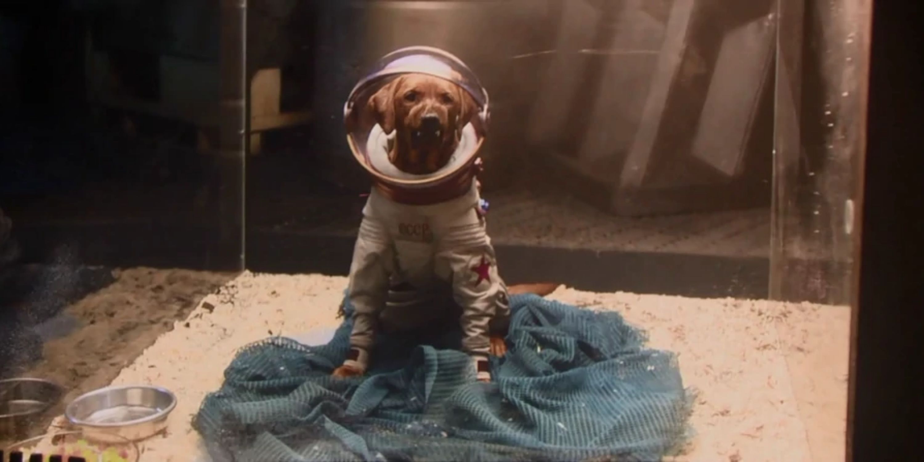 Cosmo the Spacedog in the Collector's Museum in Guardians of the Galaxy