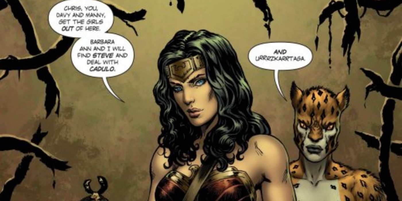 Wonder WOman and Cheetah talking to someone in the comics.