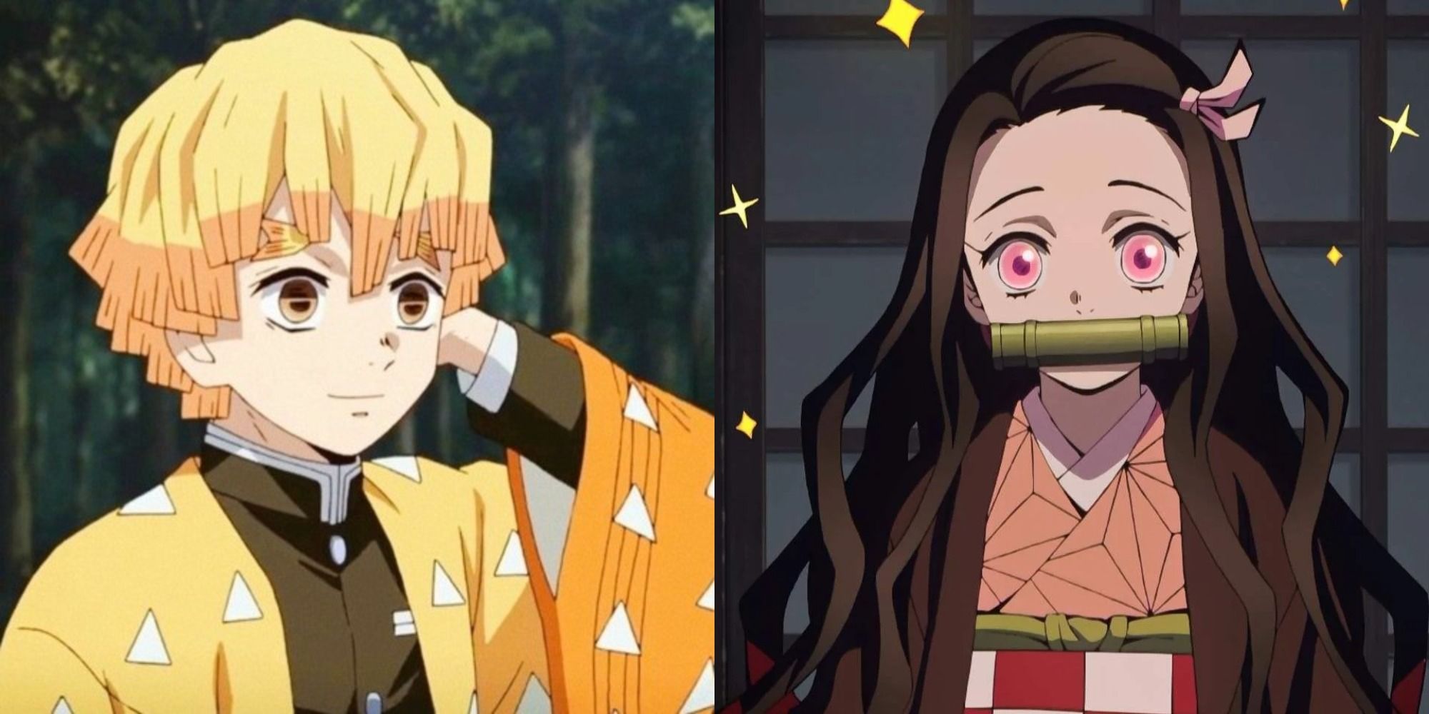 Demon Slayer Zenitsu Agatsuma, Tanjiro Kamado, Tomiyu Nezuko