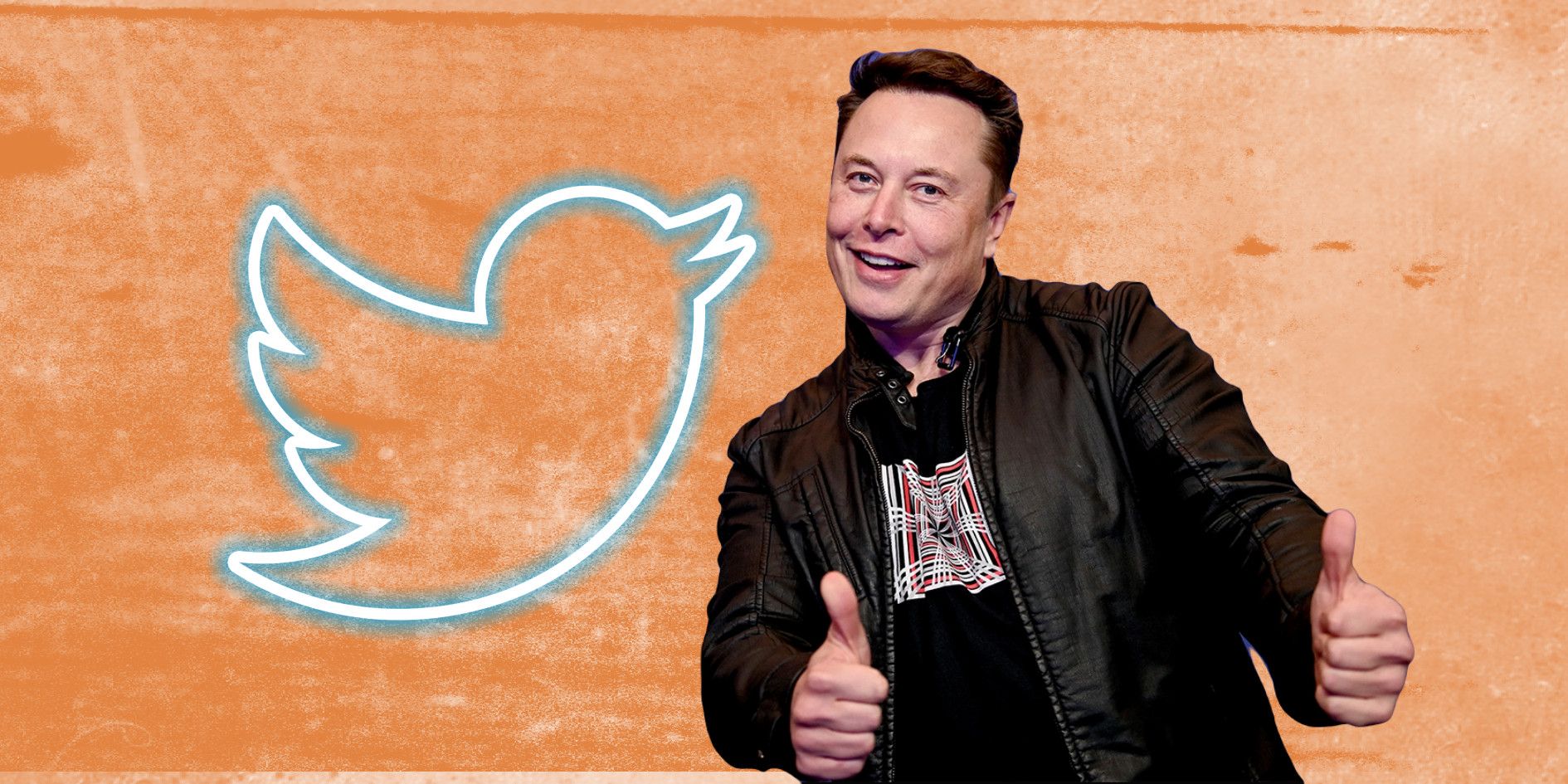 Elon Musk with Twitter logo