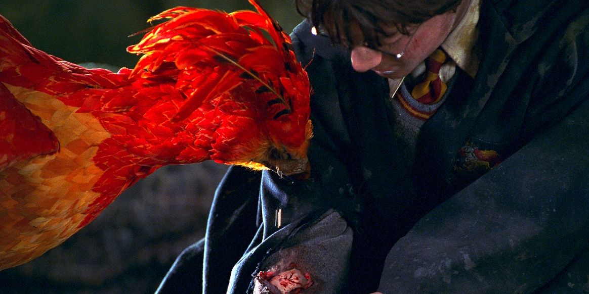 Fawkes Crying Harry Potter