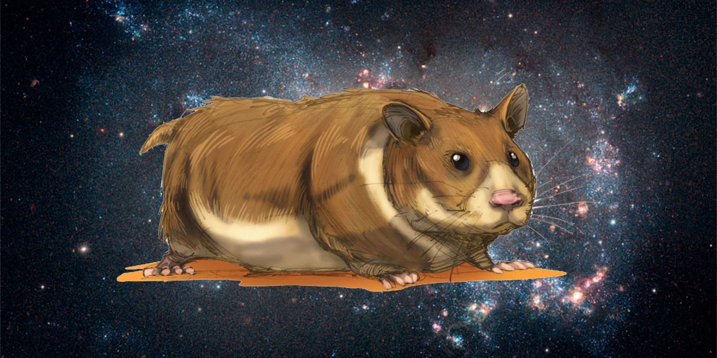 Giant-Space-Hamster-Dungeons-Dragons.jpg