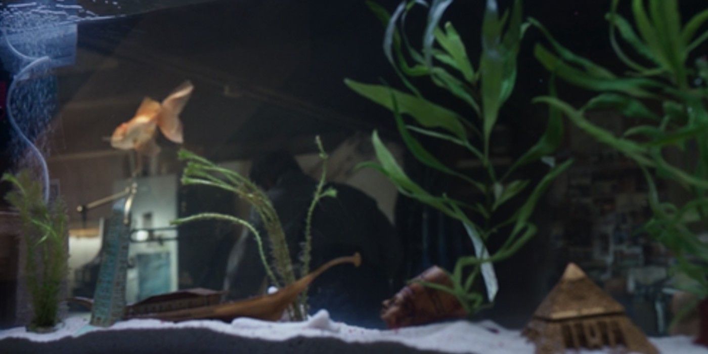 Gus Fish Tank in Moon Knight
