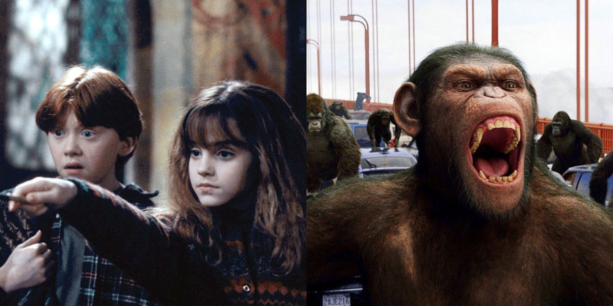 Split image of Harry Potter and Rise of the Planet of the Apes