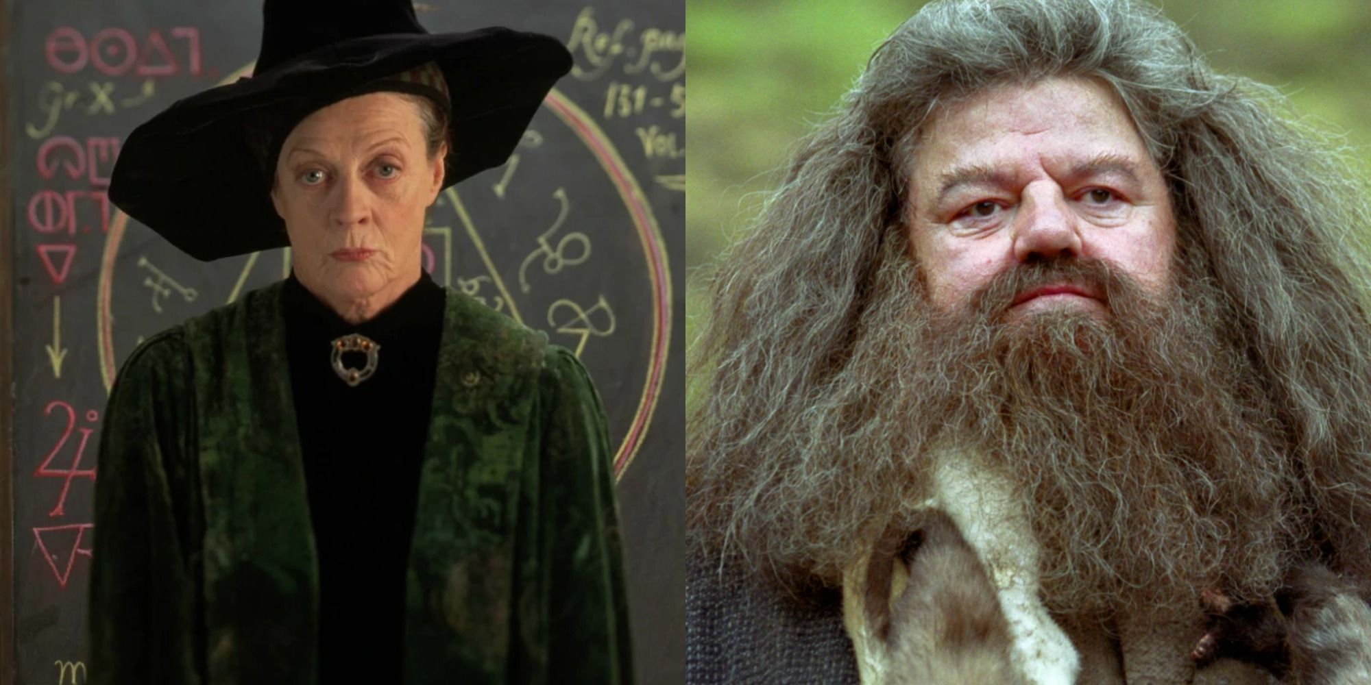 Split image showing McGonagall and Hagrid in Harry Potter.
