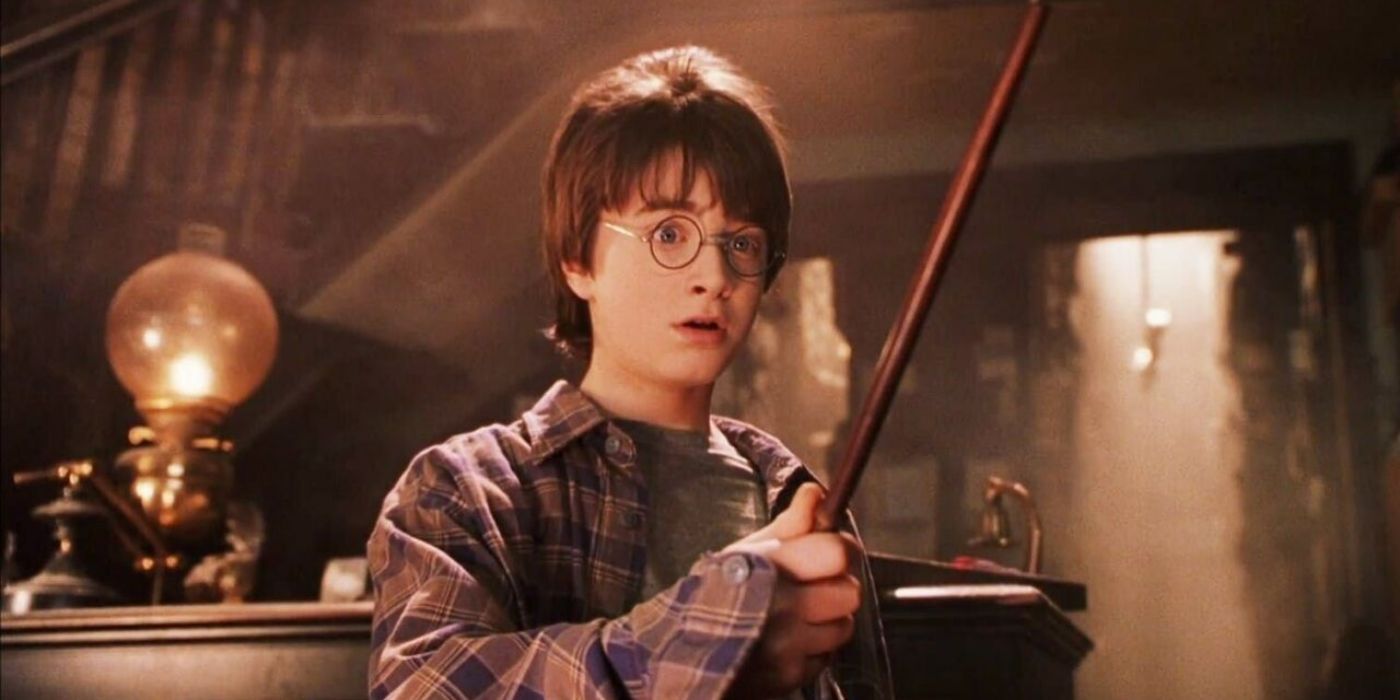 Harry receiving his wand in Harry Potter and the Sorcerer's Stone