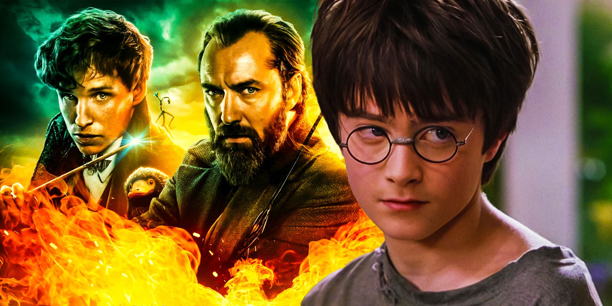 How to Watch Harry Potter Movies In Order: See All 11 Movies  Chronologically