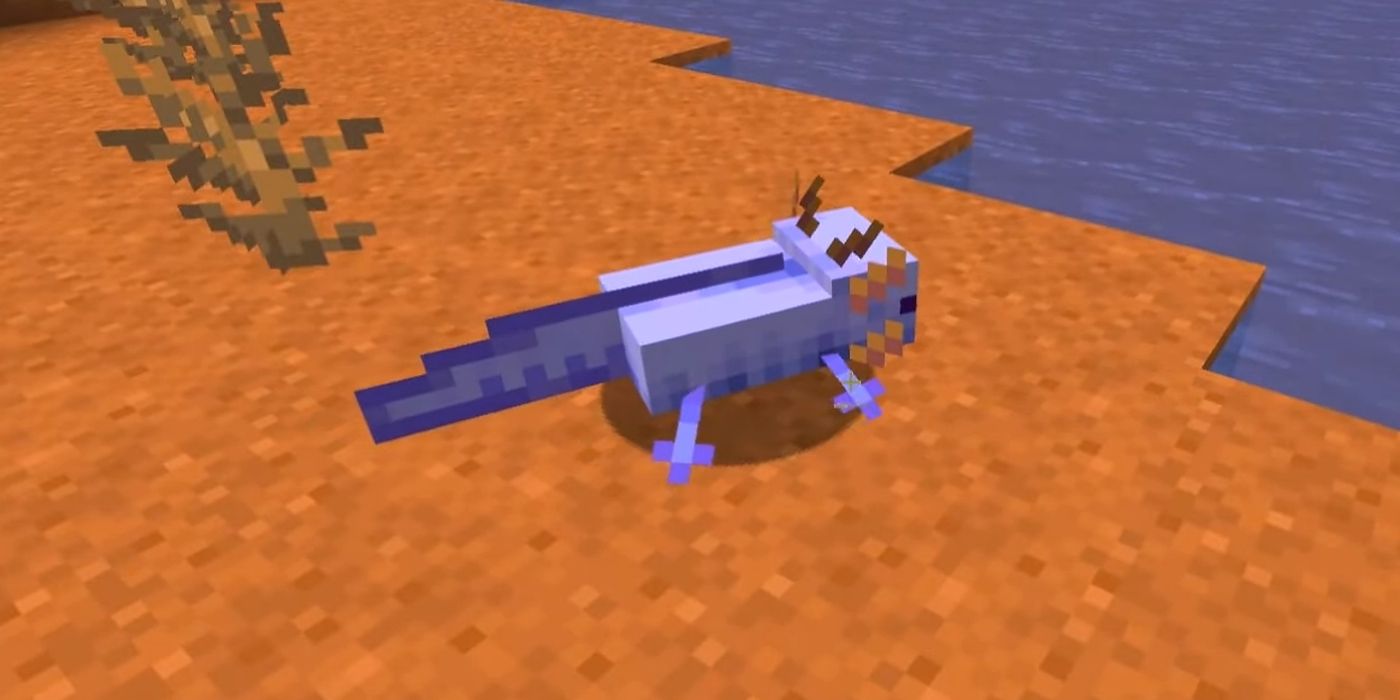 A Blue Axolotl in Minecraft standing next to a blocky lake
