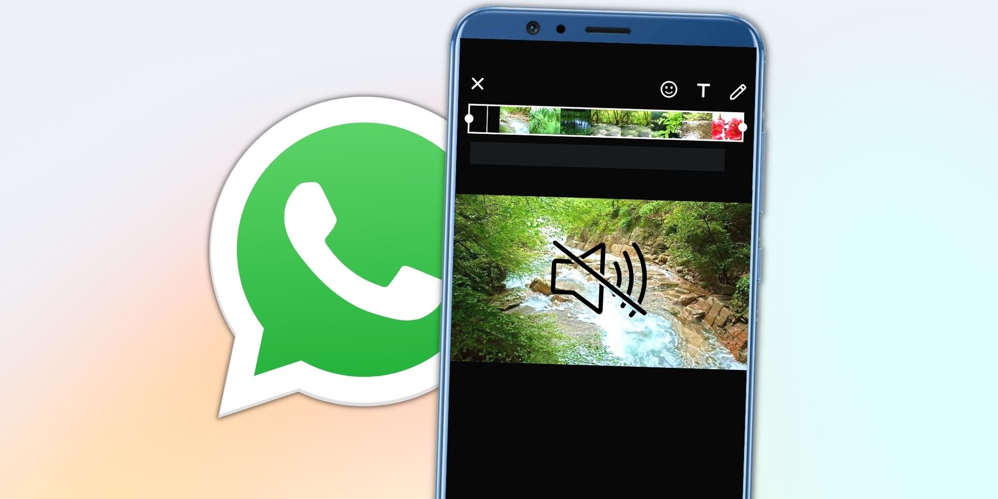 WhatsApp mute button on videos