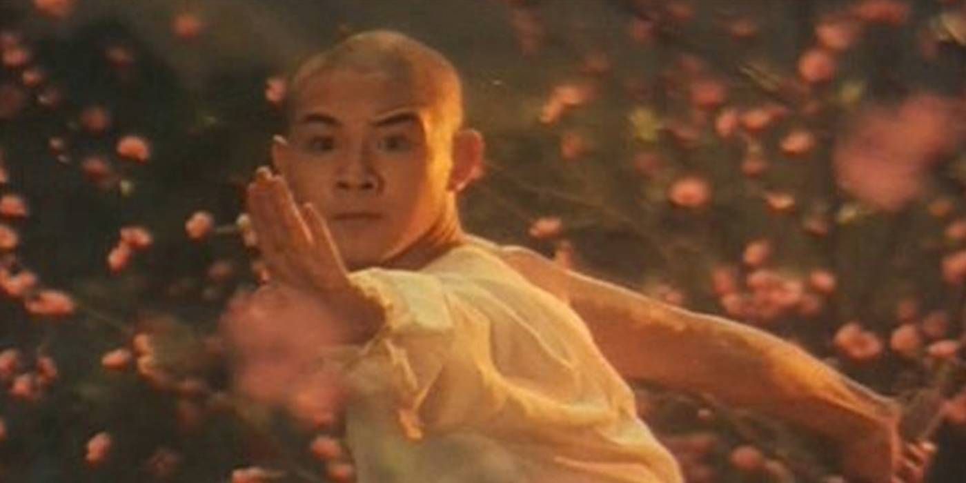 Jet Li in The Shaolin Temple pic