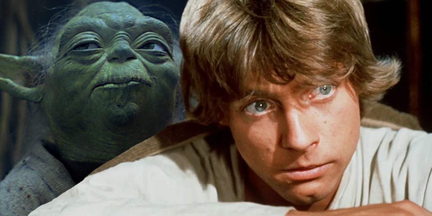 Luke Skywalker and Yoda Looking like they disagree star wars