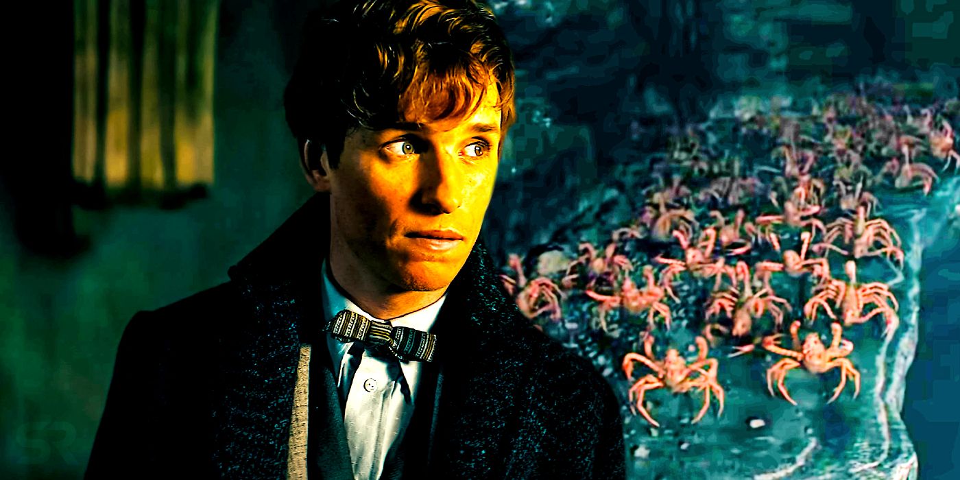 Newt-Fantastic-Beasts-3