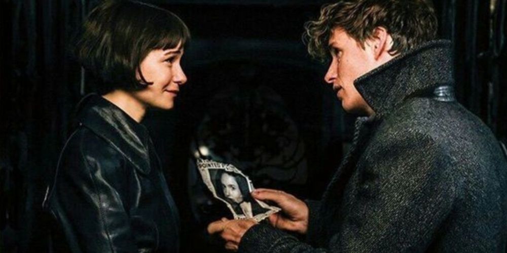 Newt Scamander showing a picture to Tina in Fantastic Beasts 2