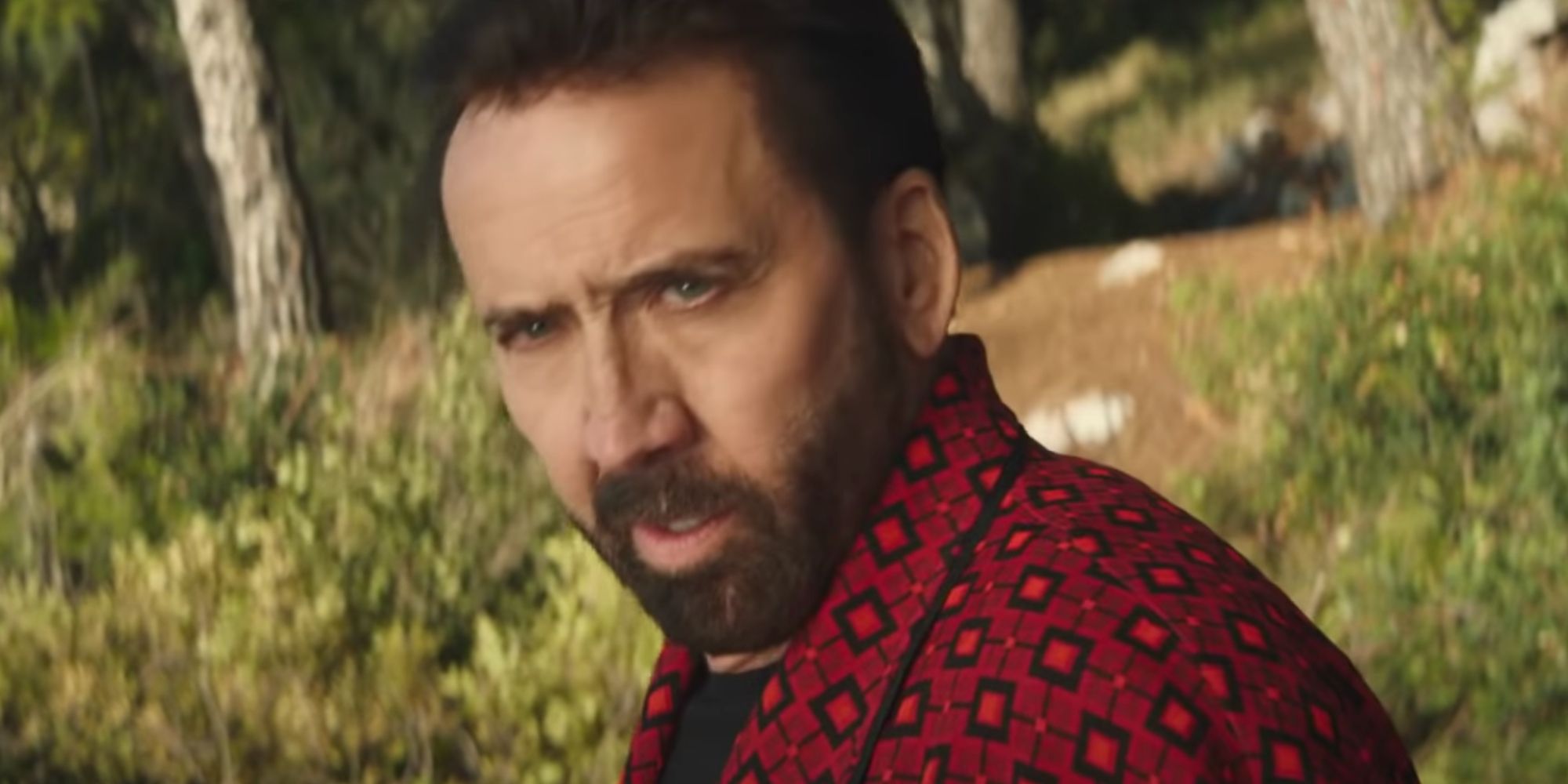 Nic Cage in TUWOMT in bathrobe on the edge of a cliff