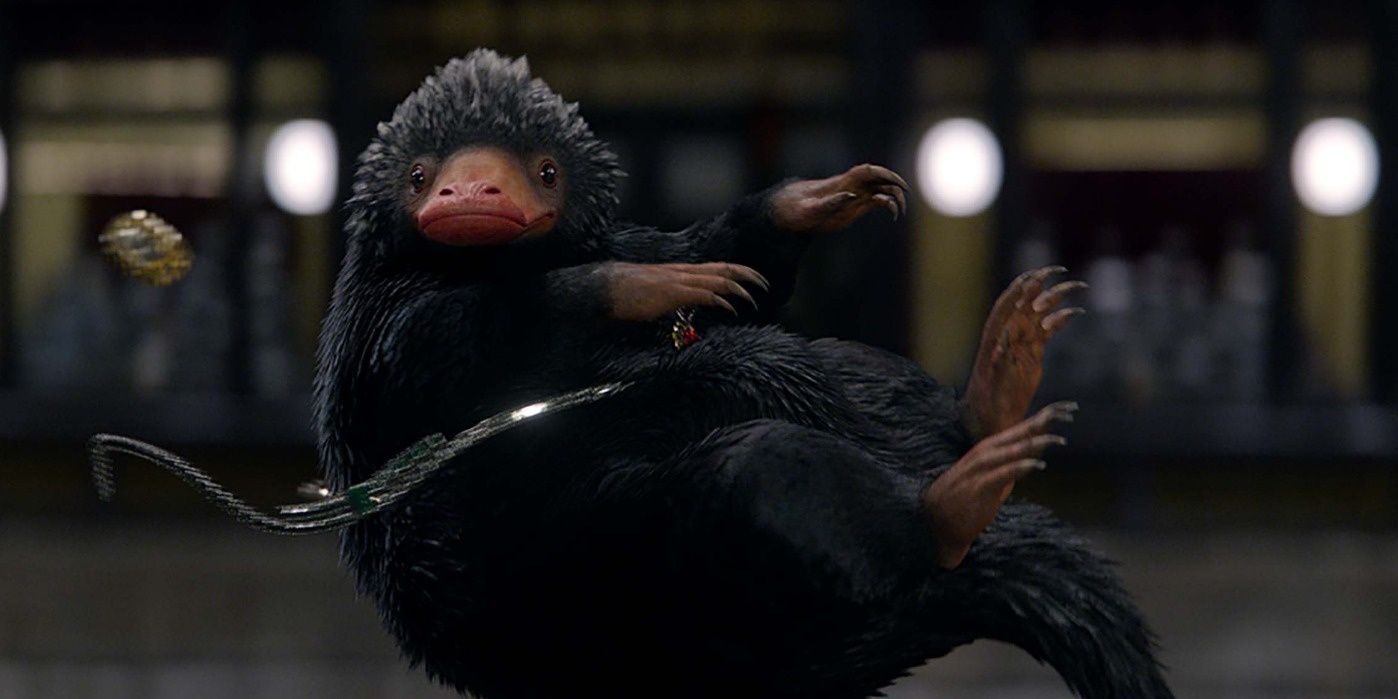 Newt&rsquo;s Niffler stealing things in Fantastic Beasts