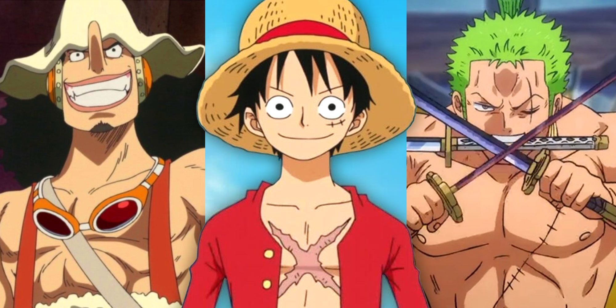 One Piece Characters Get to know all about your favorite characters