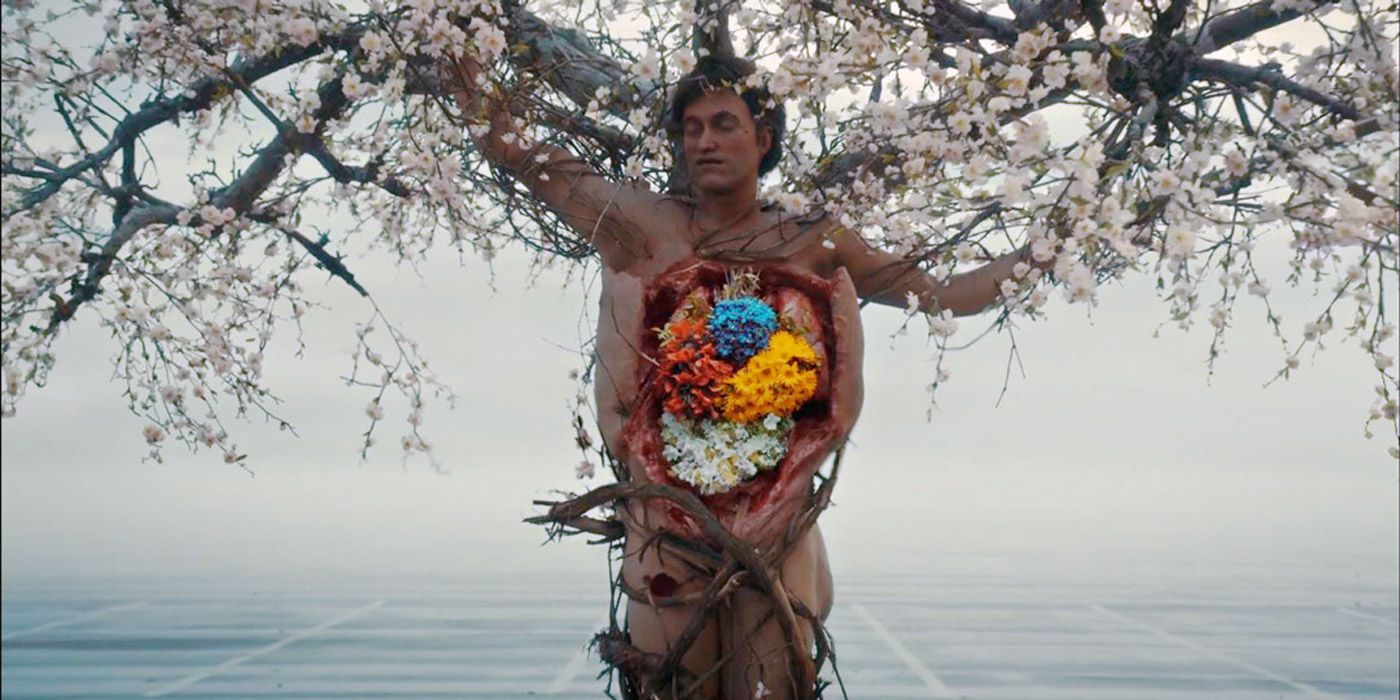 poisonous tree hannibal