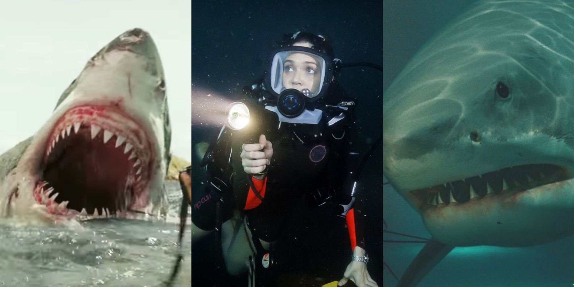 15 Best Shark Attack Movies, According To IMDb