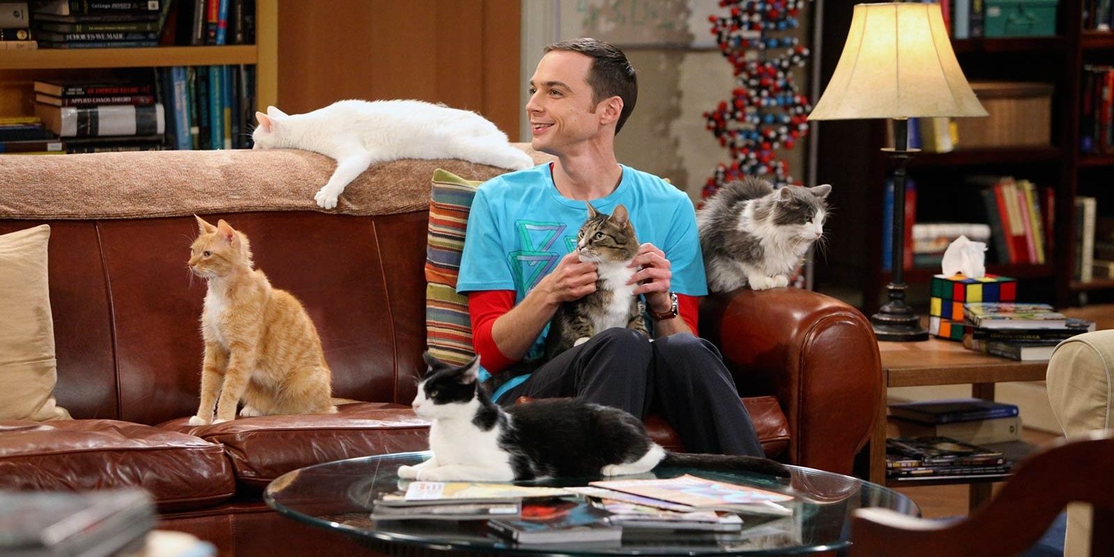 Sheldon with a bunch of cats in The Big Bang Theory 