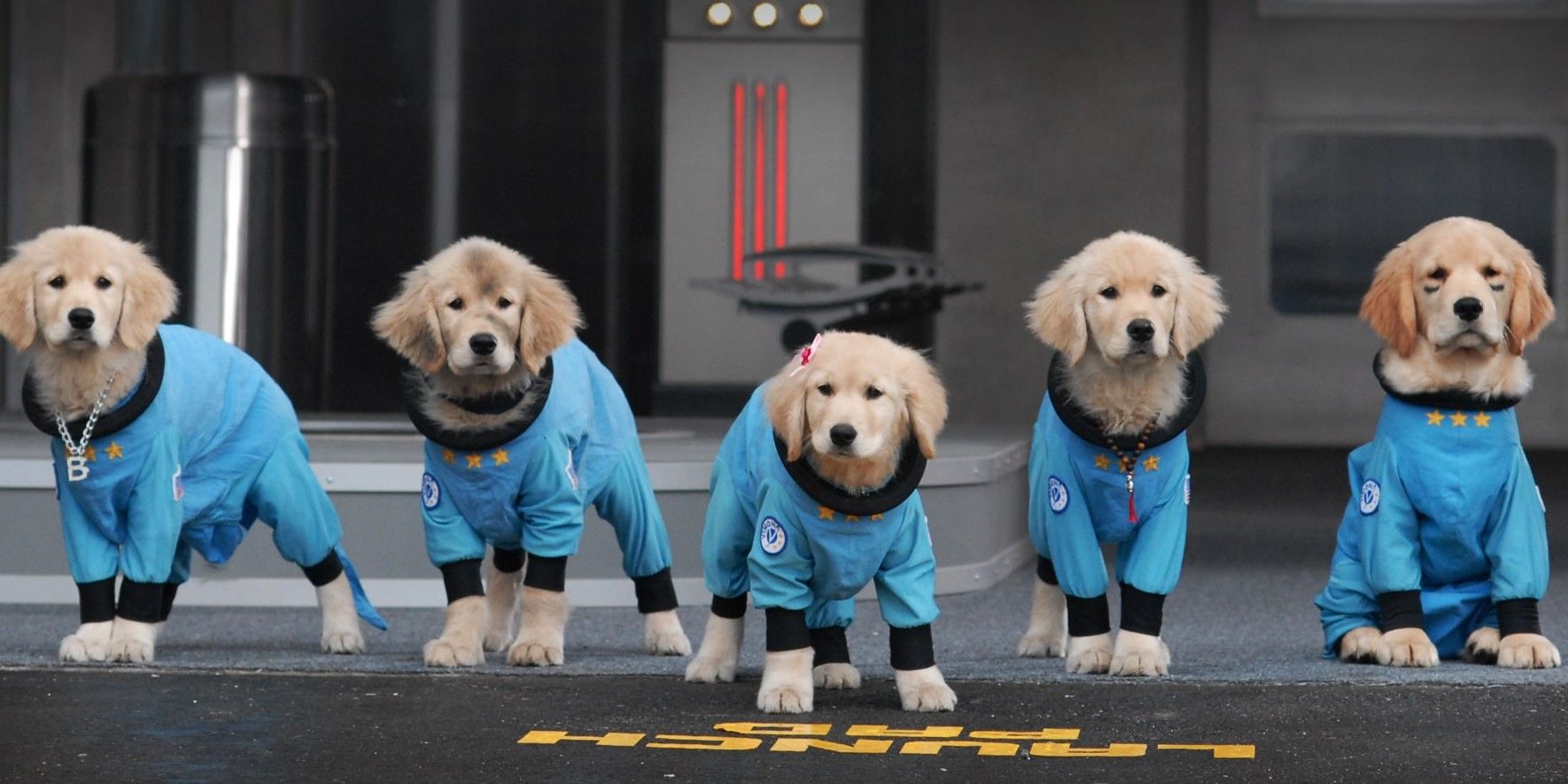 Space Buddies puppies