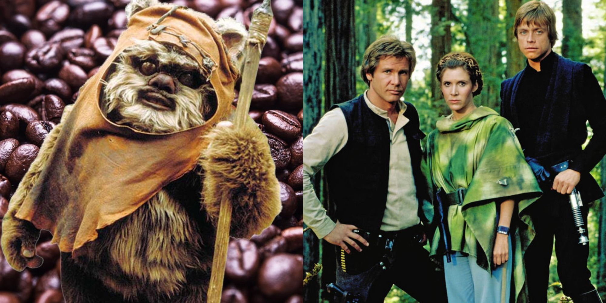 https://static1.srcdn.com/wordpress/wp-content/uploads/2022/04/Split-image-of-Wicket-in-front-of-coffee-beans-and-Han-Leia-and-Luke-at-Endor-in-Return-of-the-Jedi.jpg
