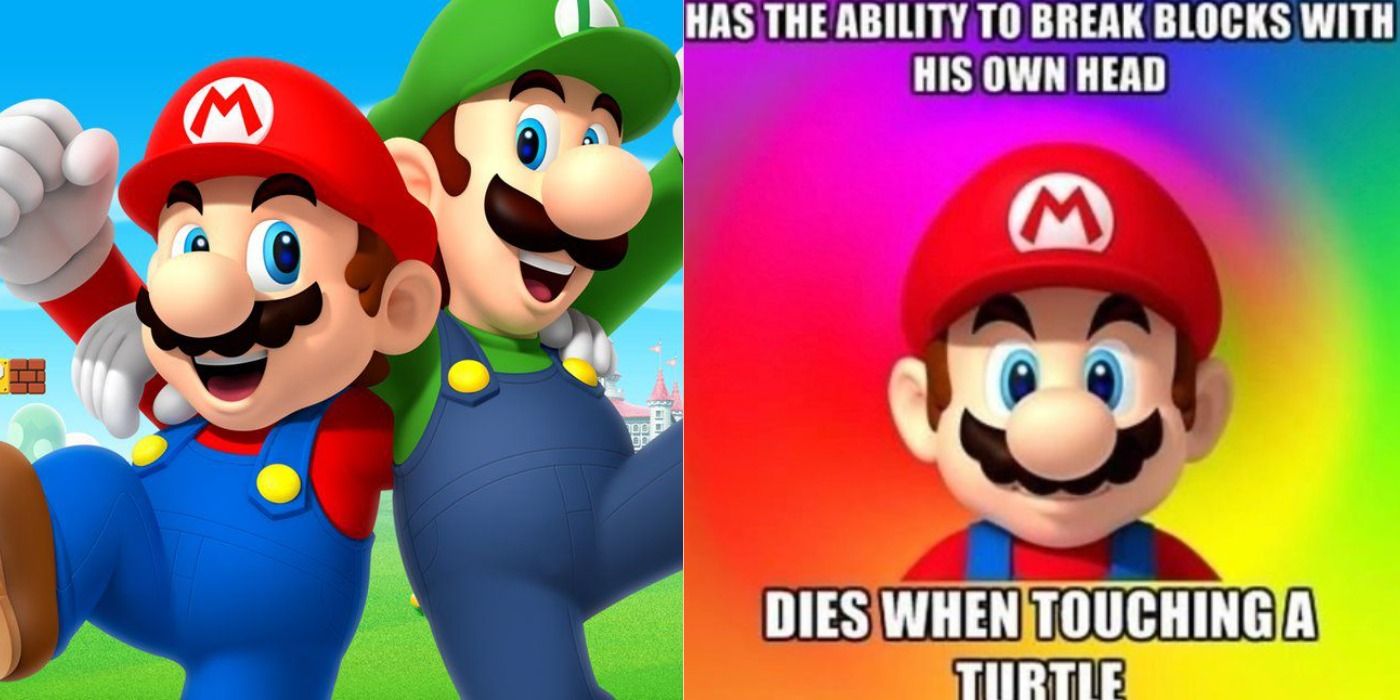 Split images of Mario and Luigi, and a Mario meme