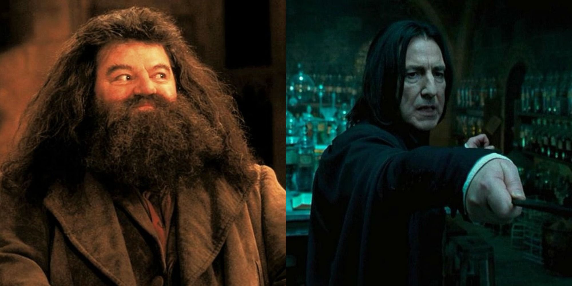 My Ten Favorite 'Harry Potter' Characters