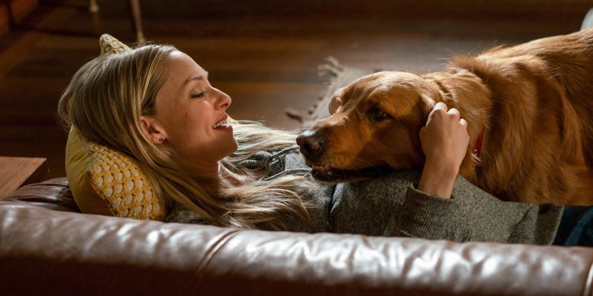 Amanda Seyfried and a dog in The Art of Racing in the Rain