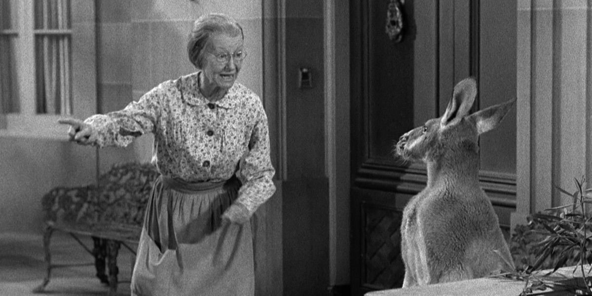 Granny yells at a kangaroo from The Beverly Hillbillies 