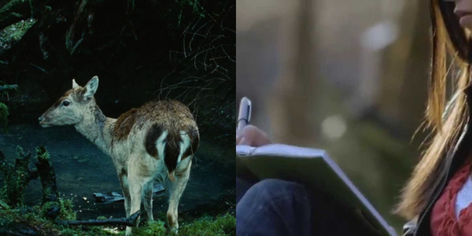 The Vampire Diaries: 10 Similarities Between The Pilot And Twilight
