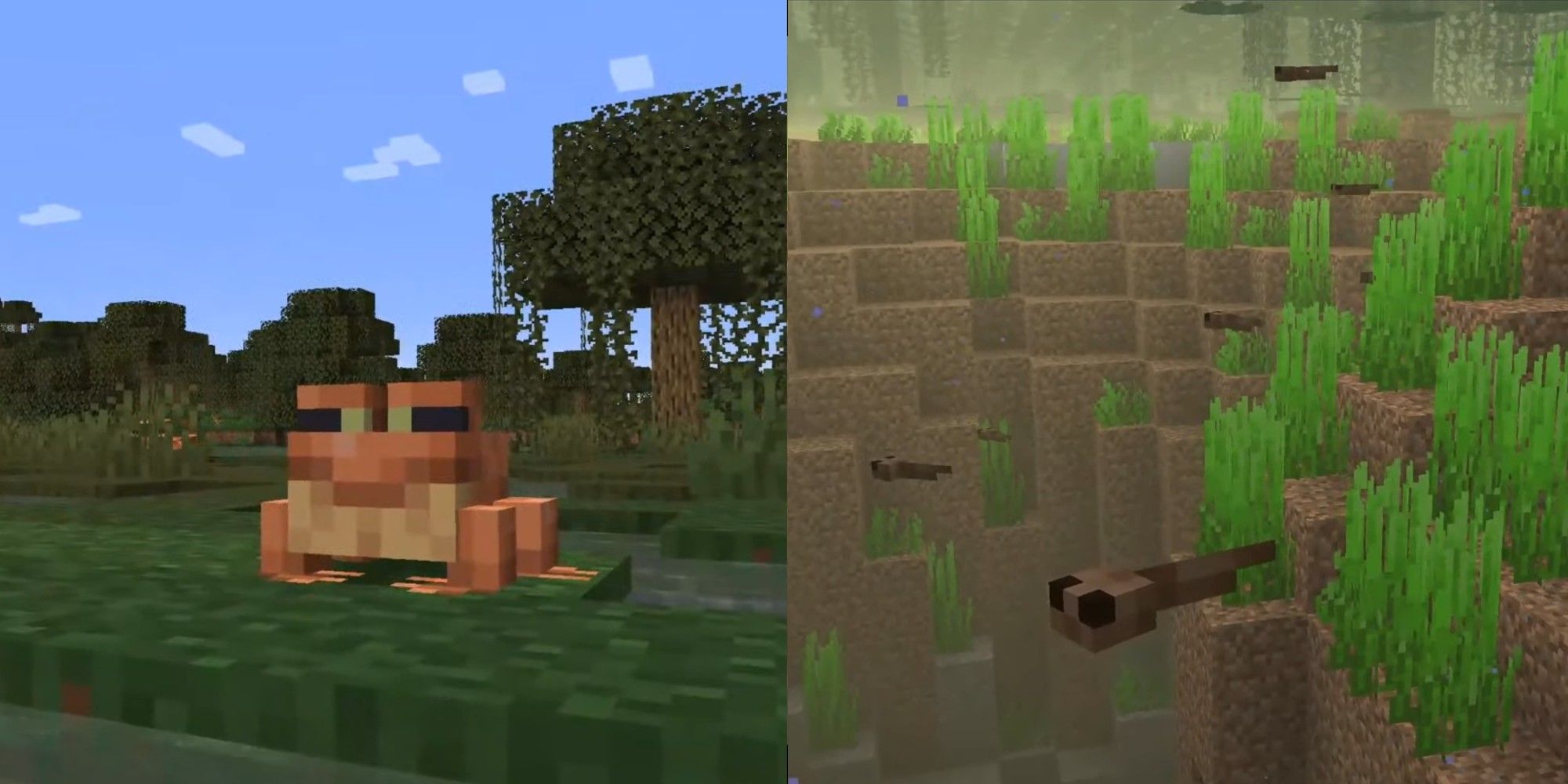 What Frogs Eat In Minecraft