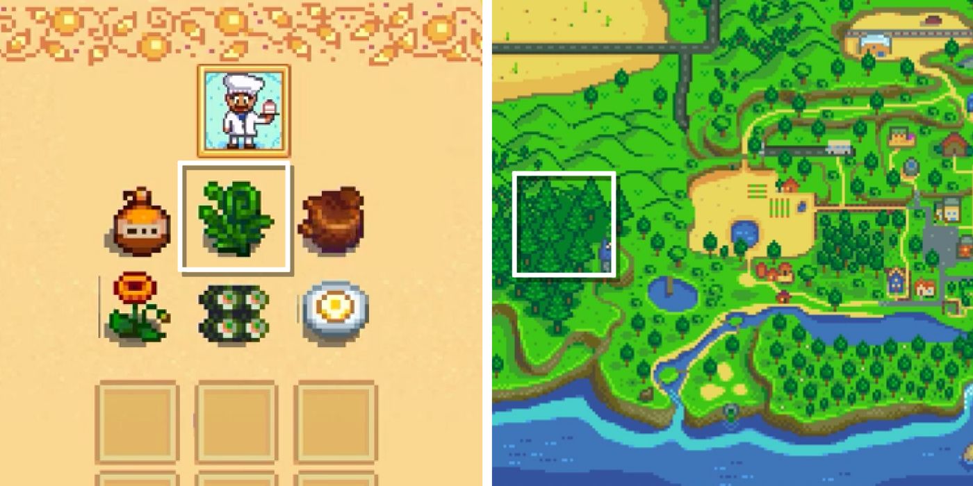 Where To Find Fiddlehead Ferns in Stardew Valley Map Location