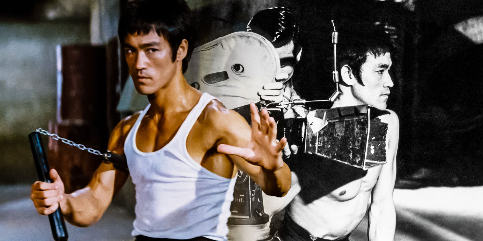 Why Bruce Lee did not like way of the dragon
