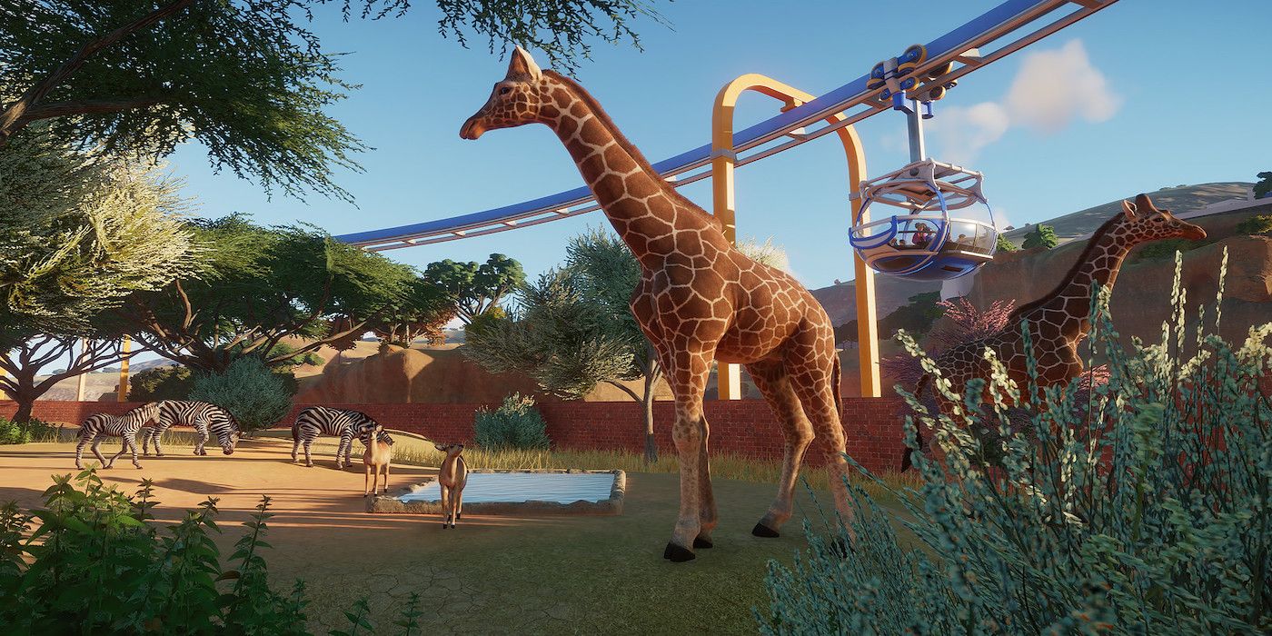 A screenshot from the game Planet Zoo