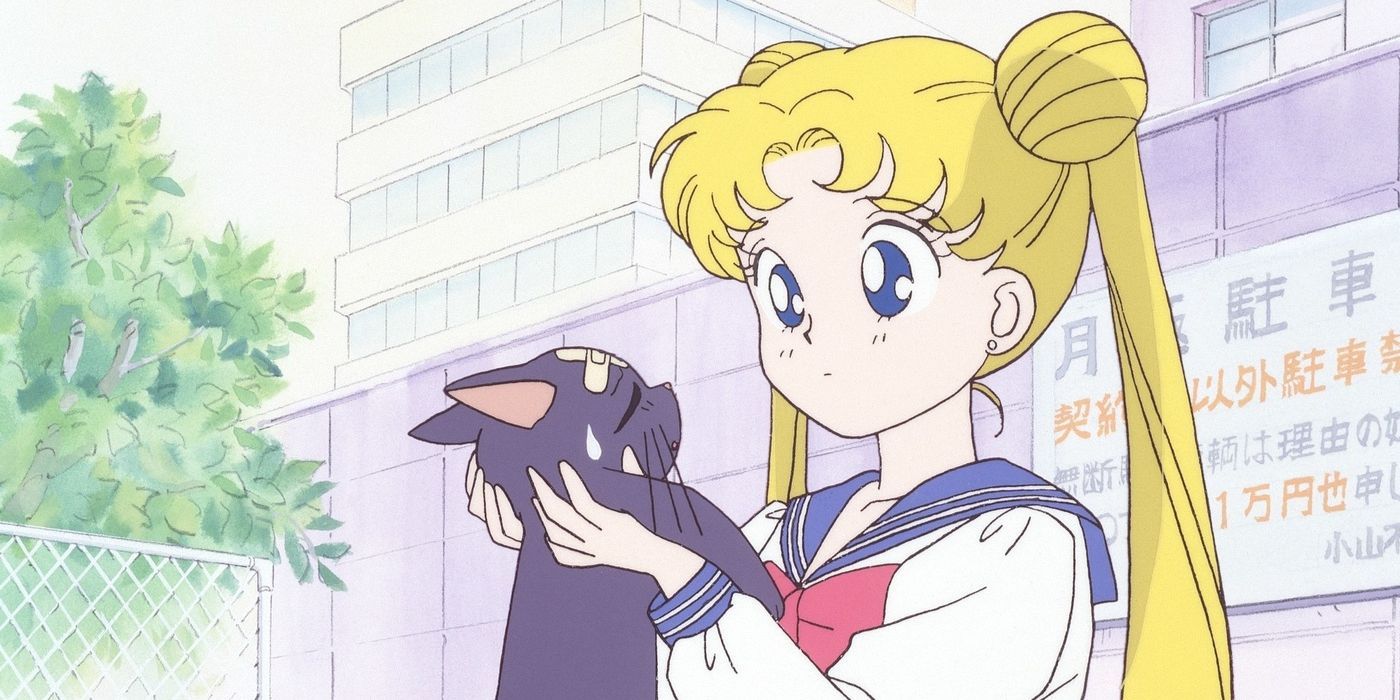 Usagi Tsukino holding her cat Luna and pondering in Sailor Moon