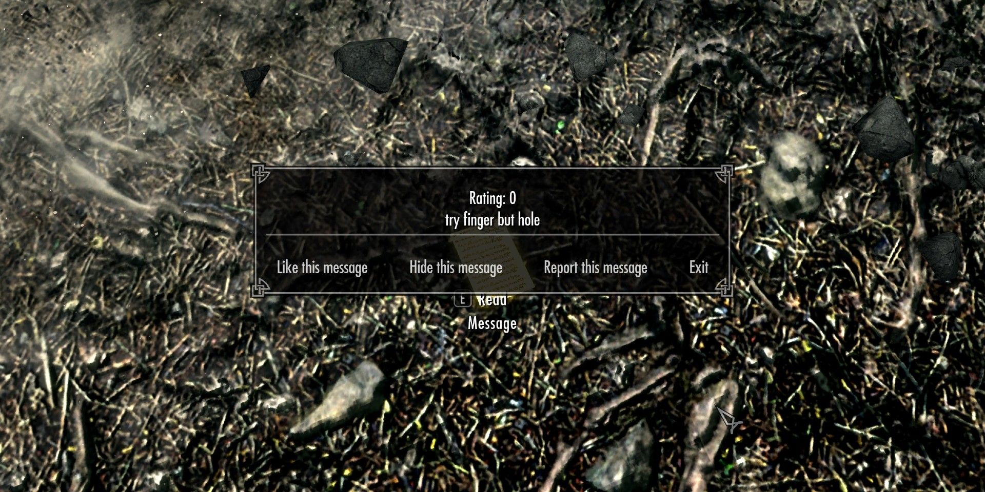 Elden Ring-Style Messages Come To Skyrim Through Mod