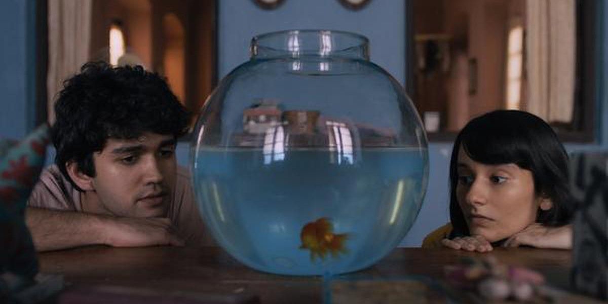 A boy and a girl staring at a fish bowl in What Are The Odds 