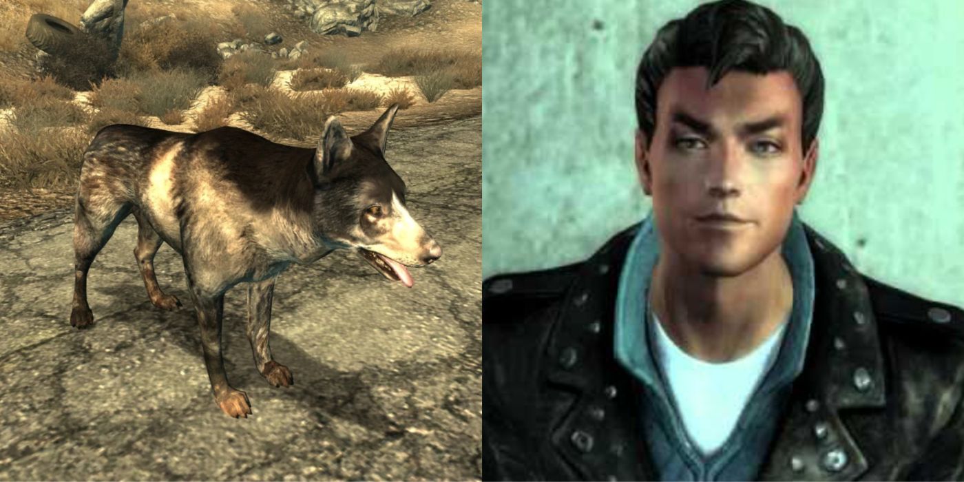 Fallout 3 companions, Fallout Wiki