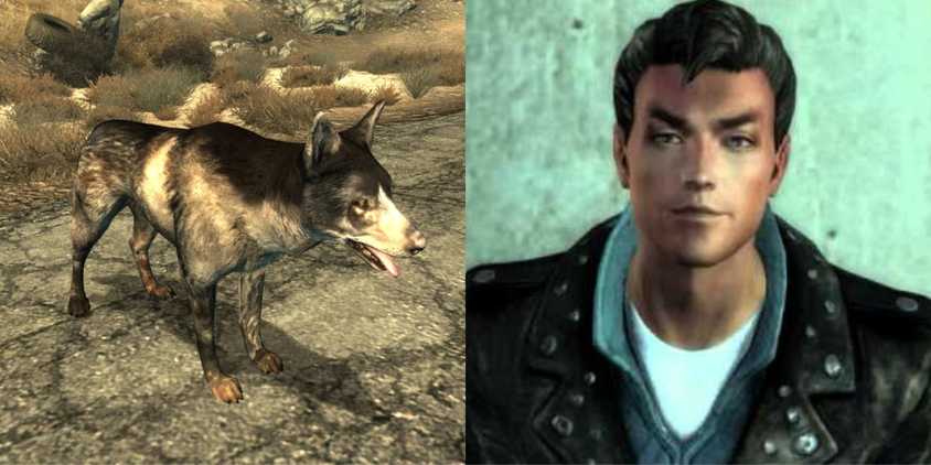 A split image of a dog and a man looking serious in Fallout 3