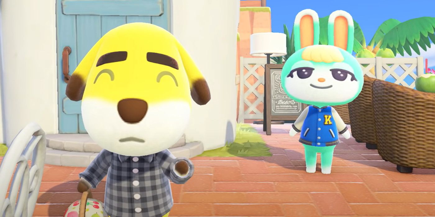 Every Animal Crossing Villager Problem The Next Game Can Fix