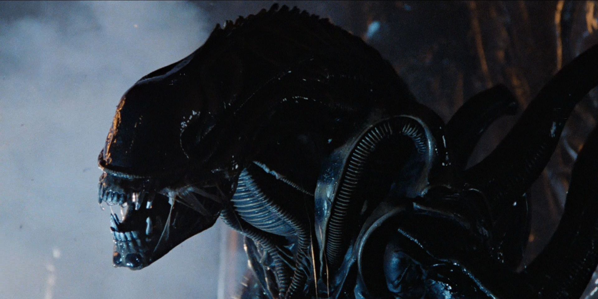 The xenomorph from the 1979 horror movie Alien.
