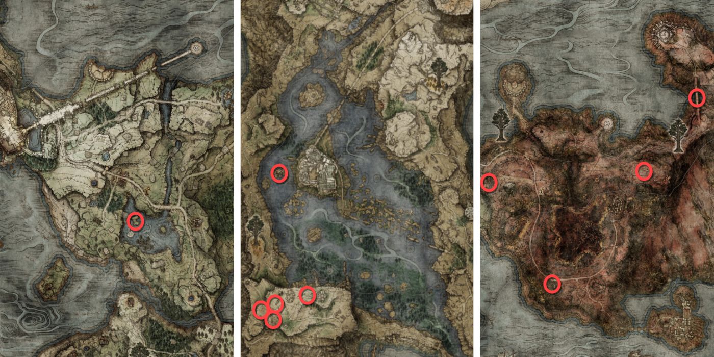 All Dragon Heart Locations In Elden Ring Map 1